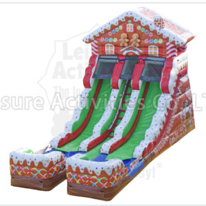 16ft double lane water slide alligator swamp sl (copy)