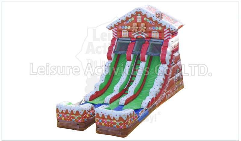 16ft double lane water slide alligator swamp sl (copy)