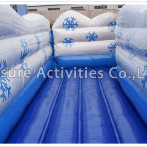 22ft alpine tubing double lane slide