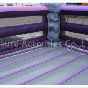 bouncy boxing (copy)