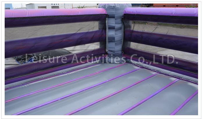 bouncy boxing (copy)