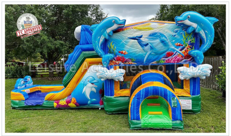 dolphin splash combo wet/dry v sl