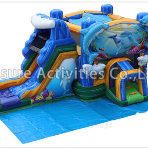 dolphin splash combo wet/dry v sl (include ground cover) dolphin splash combo wet/dry v sl (include ground cover)