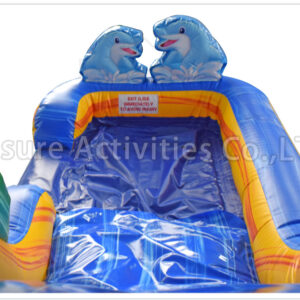 dolphin splash combo wet/dry v sl dolphin splash combo wet/dry v sl
