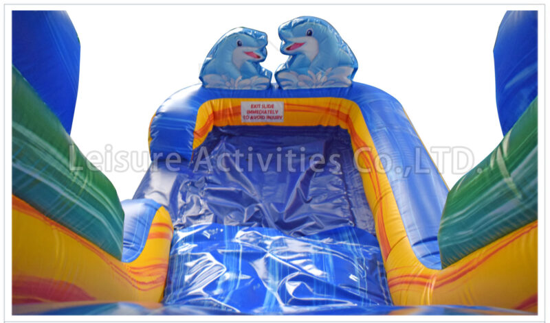 dolphin splash combo wet/dry v sl