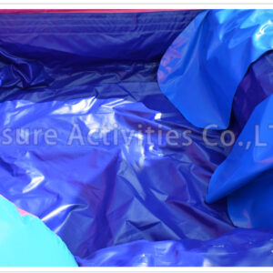 mermaid double lane combo wet/dry ipl