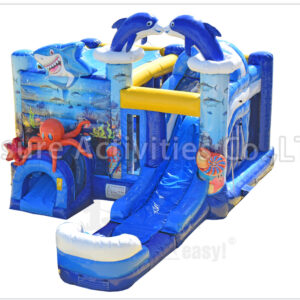 ocean world 6n1 combo wet/dry pl
