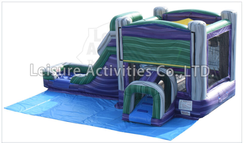 purple green combo wet/dry v sl (include ground cover)