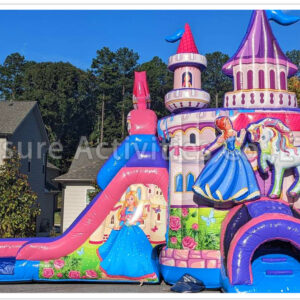 princess castle combo wet/dry sl