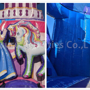 princess castle combo wet/dry sl