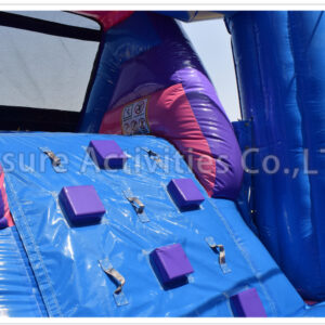 princess castle combo wet/dry sl