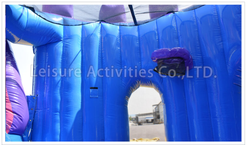 princess castle combo wet/dry sl
