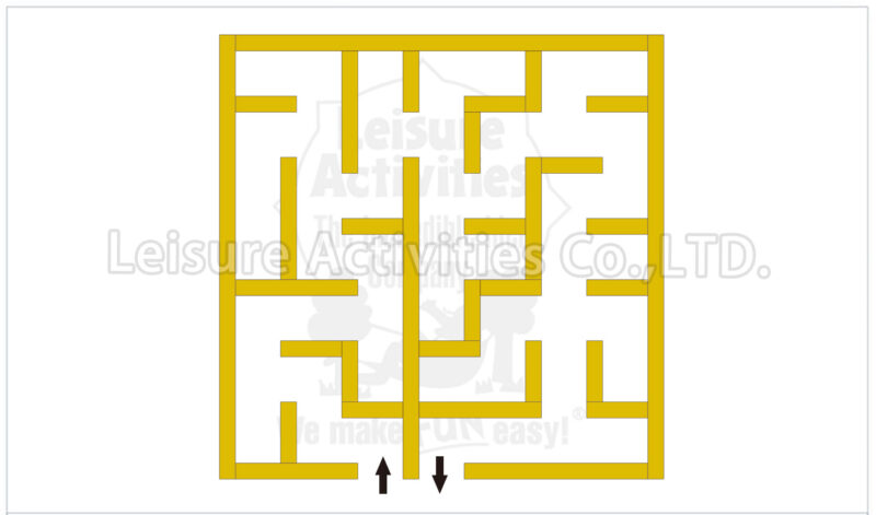 hybrid maze