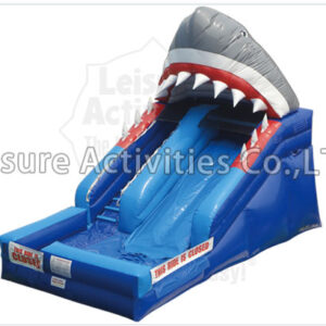 shark attack shark attack
