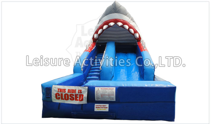 shark attack