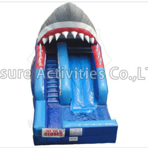 shark attack shark attack