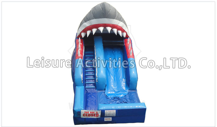 shark attack
