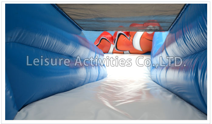 shark double lane dry slide