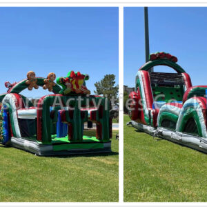 radical run christmas hybrid