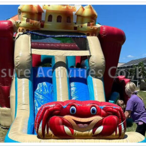 beach bucket double lane combo wet/dry v sl