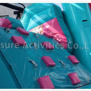 frozen princess crown double lane combo ii wet/dry v sl frozen princess crown double lane combo ii wet/dry v sl